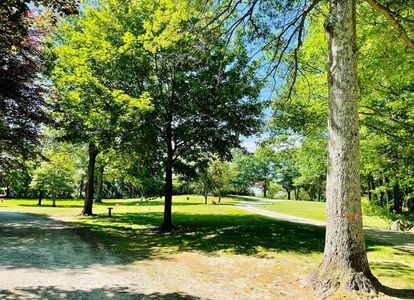 The view of Temple Beth El Memorial Park is more like a park than a cemetery, as the headstones are set into the ground.