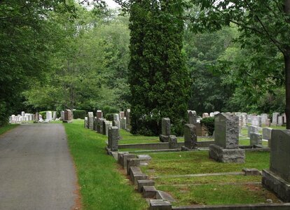 Mt. Sinai Cemetery headstones along the inner road